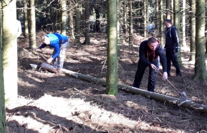 Gemeinsam wird in den Wald gefahren, der Maibaum ausgesucht, gefällt und entrindet.