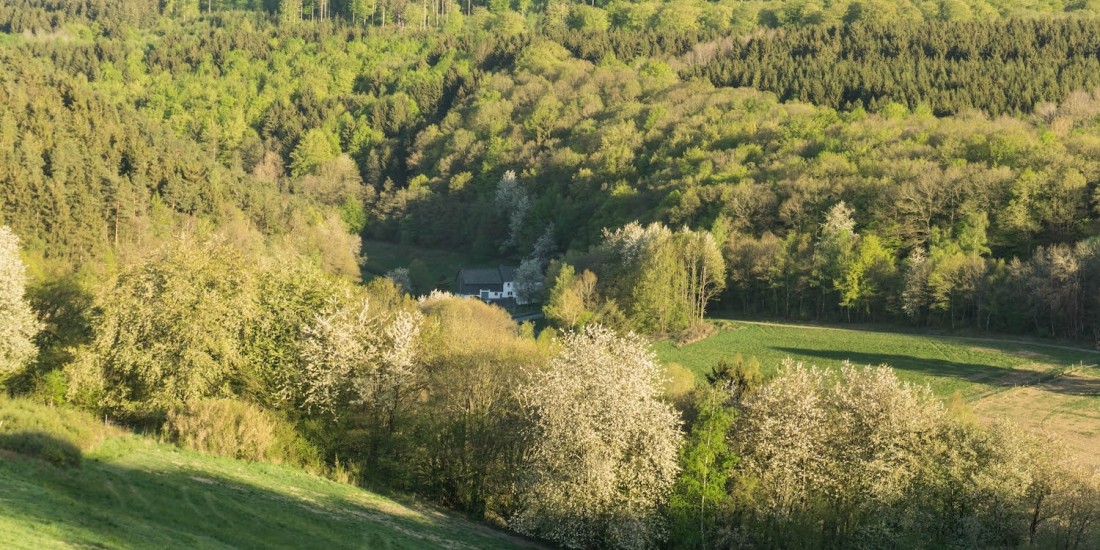 Der Edenbruch liegt im Tal zwischen Morscheid und Deuselbach. Von hier aus ist die
