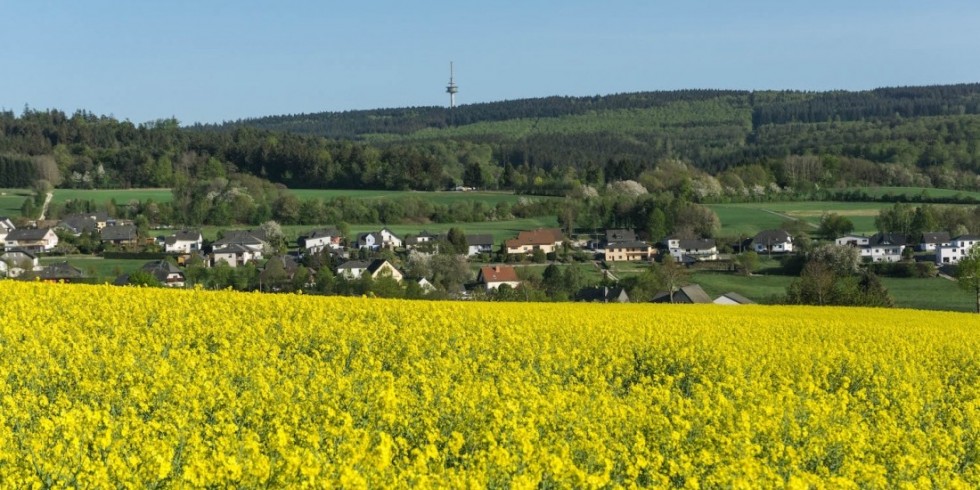 MorscheidRiedenburg Balkan.city Hoxel, MorscheidRiedenburg, Wolzburg