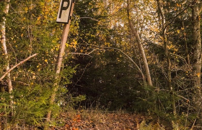 Ob das Pfeifton-Signalschild an den Hoxeler Gleisen jemals wieder eine Funktion bekommt? (Foto: Marco Thees, Hoxel), veröffentlicht: 15.11.2020