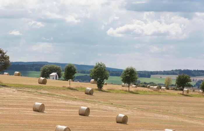 Heuballen vor dem Wolzburger Kapellchen (Foto: Alexander Pichikov, Wolzburg), veröffentlicht: 04.10.2020