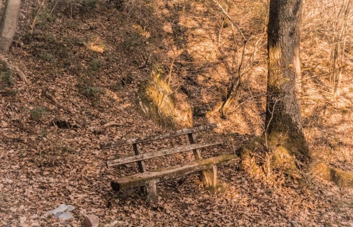 Bank im Herbstwald in der Gutenthaler Bach
