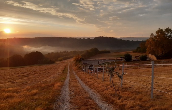Herbst-Sonnenuntergang am Rande von Wolzburg (Foto: Katja Hochstein-Bur, Wolzburg), veröffentlicht: 10.10.2020