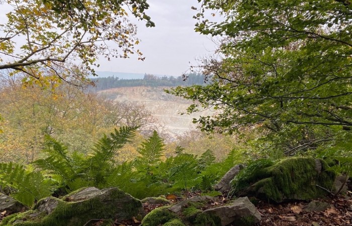 Herbstlicher Blick vom Naturdenkmal 