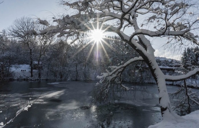 Der Hoxeler Weiher in der Winter-Morgensonne