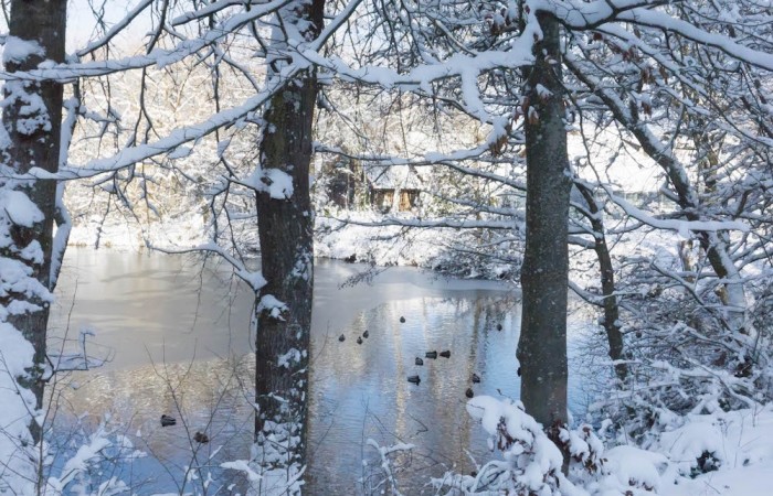 ...und nochmal diesmal mit den