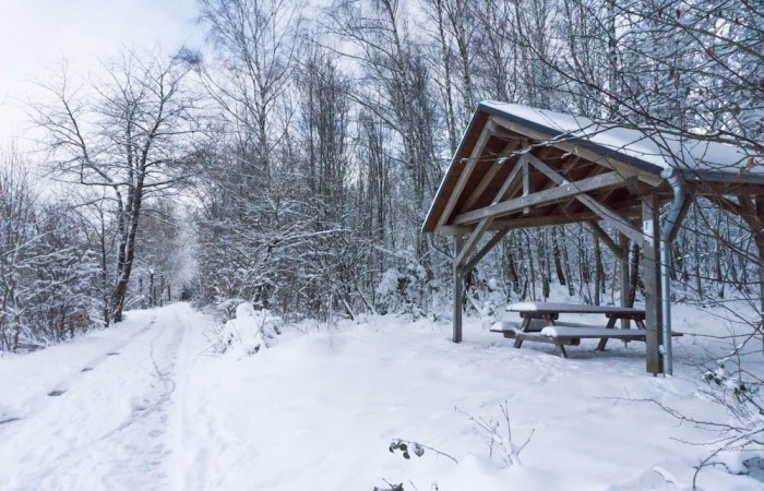 Unterstand am Saar-Hunsrück-Steig oberhalb des Hoxeler Forsthaus
