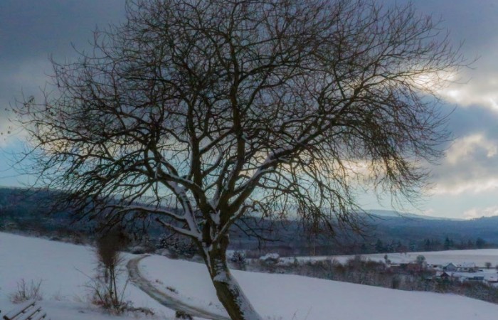 Ruhebank am Wolzburger Heiligenhäuschen