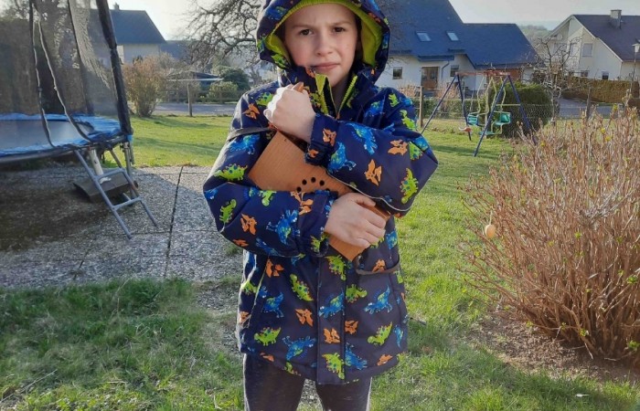 Diego Reidenbach, Hoxel