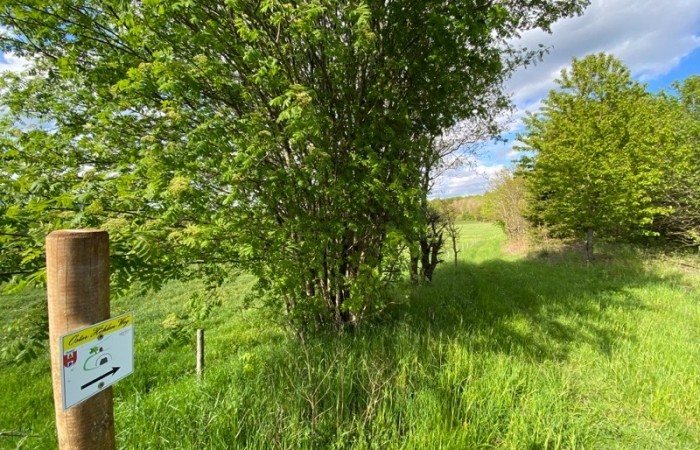 Unterhalb des Bahndammes verläuft die Strecke parallel zum