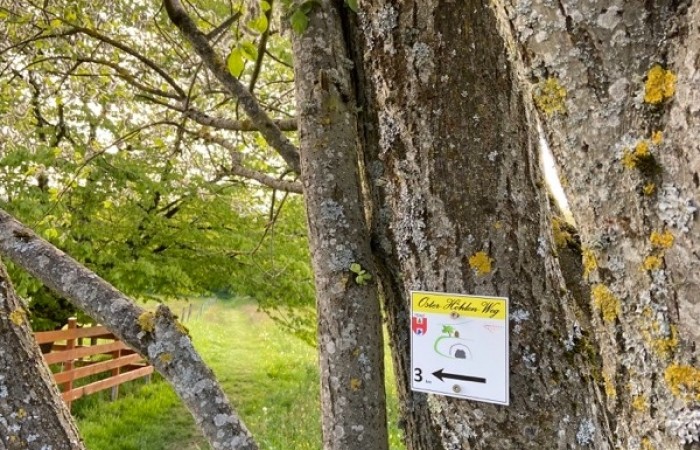 Auf'm Siebend ist die Hälfte geschafft