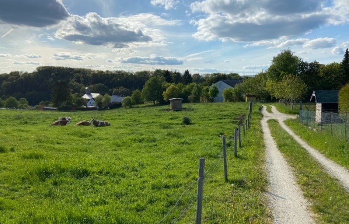 Eine Teilstrecke führt durch Morscheid, vorbei an Kindergarten und Schule...