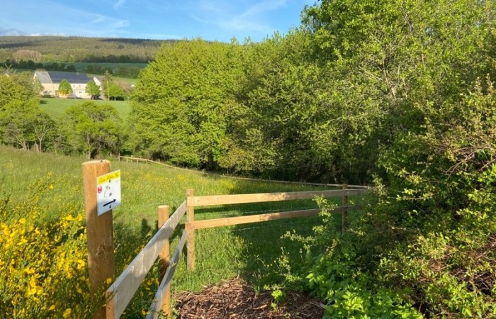 Fast geschafft...die letzten Meter bis zum Ausgangspunkt