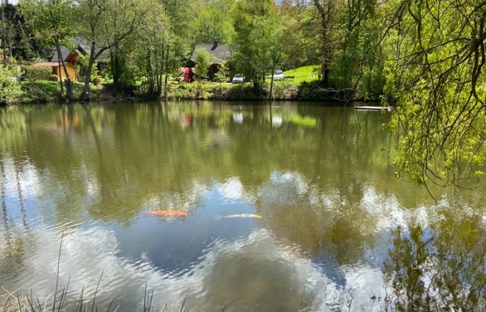 Ein bunter Fischbesatz lässt Kinderherzen höher schlagen